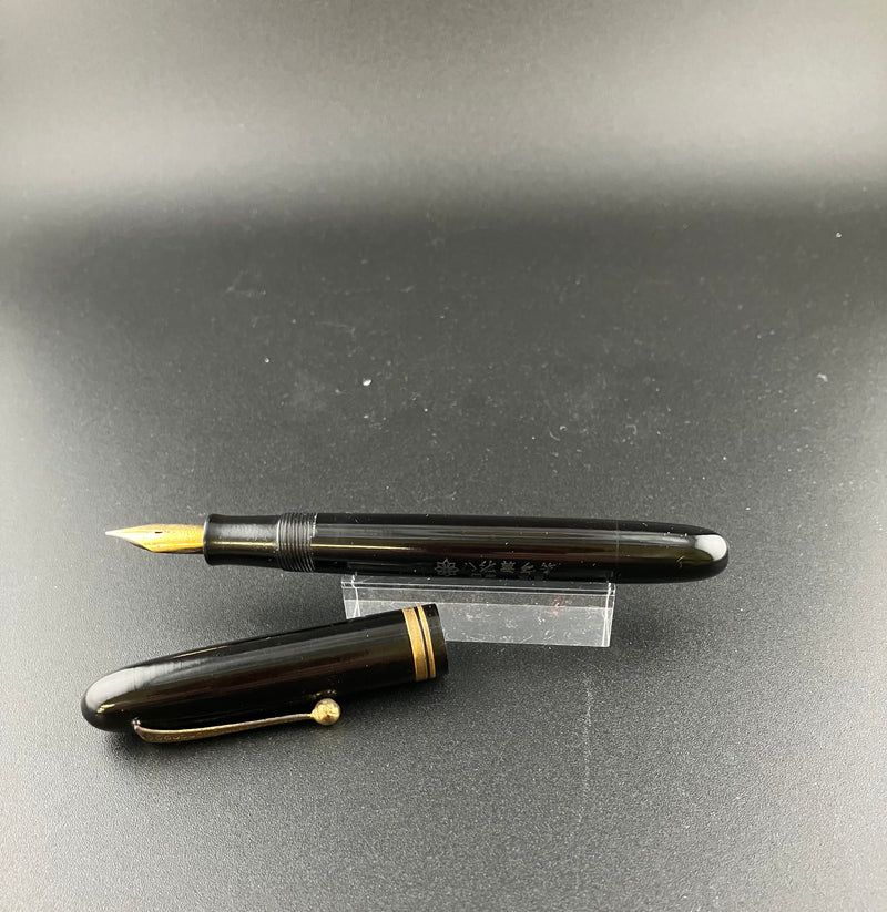 Narrinel Special Japanese Eyedropper Fountain Pen Fine Nib Flex Parts or Repair