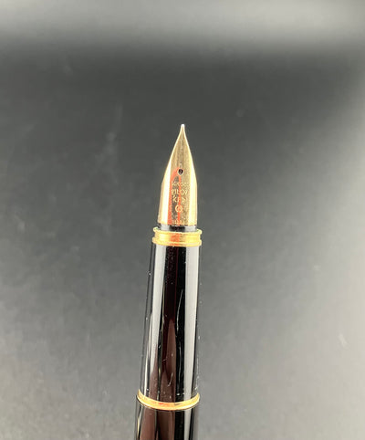 Pilot Deluxe Fountain Pen, Mechanical Pencil, Ballpoint Set