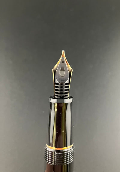 Pilot Custom 74 Fountain Pen 14K Gold Medium Nib