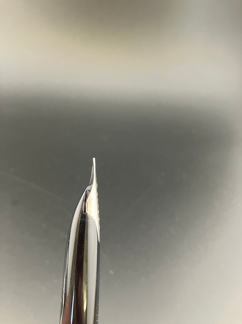 Pilot Custom Kyomon Heart Sutra Fountain Pen 18K WG Fine Nib