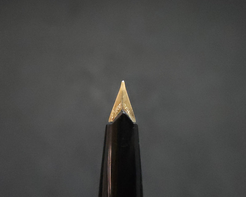 Pilot Fountain Pen 14k Gold, Fine Nib