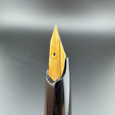 Platinum Pocket Fountain Pen 18K Gold Fine Nib