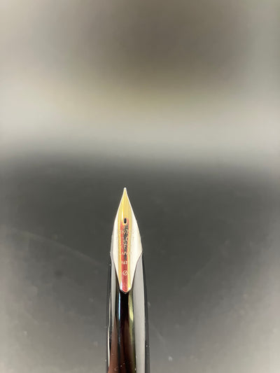 Pilot Custom Kyomon Heart Sutra Fountain Pen 18K WG Fine Nib