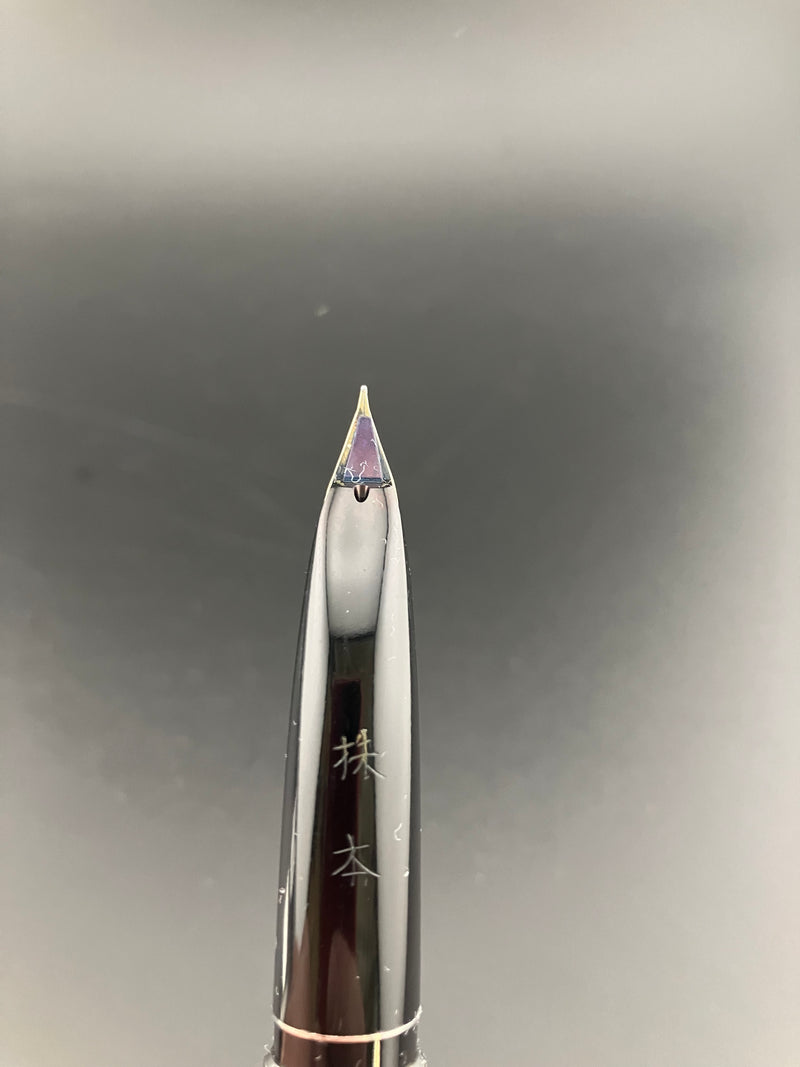 Pilot Custom Fountain Pen Black Stripe 18K WG Fine Nib K-500SS K-Series