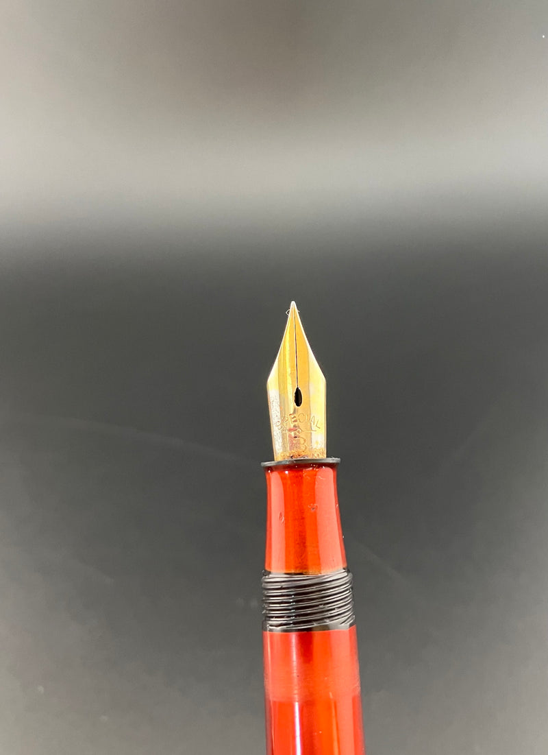 Special Ebonite Eyedropper Fountain Pen Fine Nib Rolled 14k