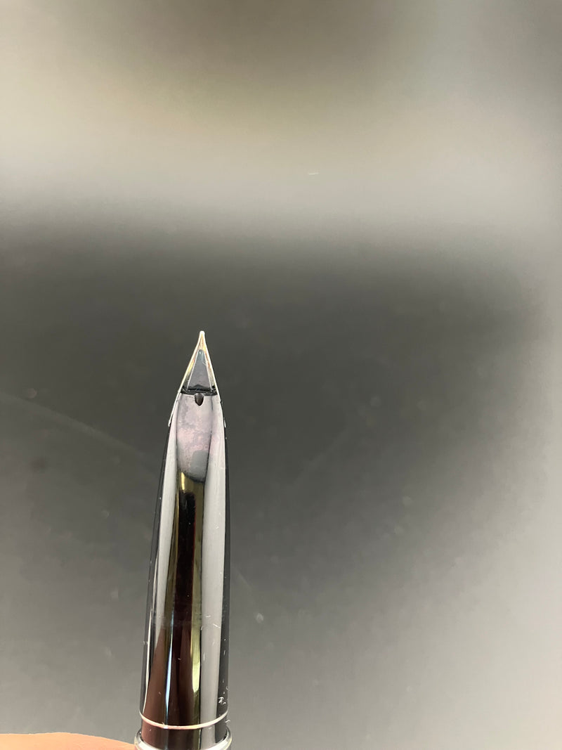 Pilot Custom Kyomon Heart Sutra Fountain Pen 18K WG Fine Nib