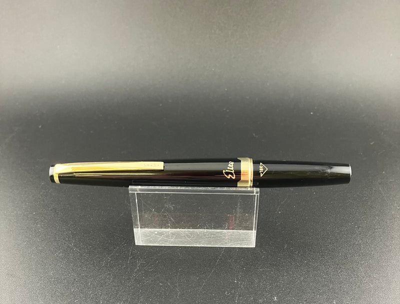 Pilot Elite Pocket Fountain Pen 18K Gold Script Nib