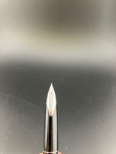 Pilot Custom Kyomon Heart Sutra Fountain Pen 18K WG Fine Nib