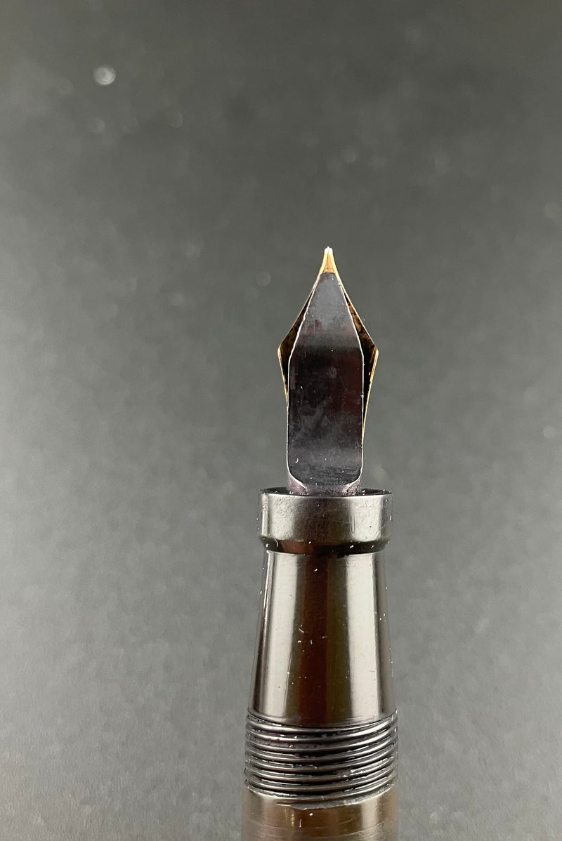 New Clip Hard Rubber Japanese Eyedropper Fountain Pen 14K Gold Fine Nib Flex Parts or Repair