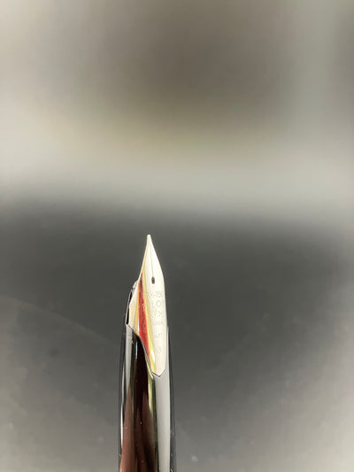 Pilot Custom Kyomon Heart Sutra Fountain Pen 18K WG Fine Nib