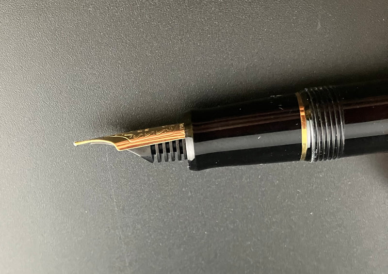 Pilot Custom 74 Fountain Pen 14K Gold Medium Nib