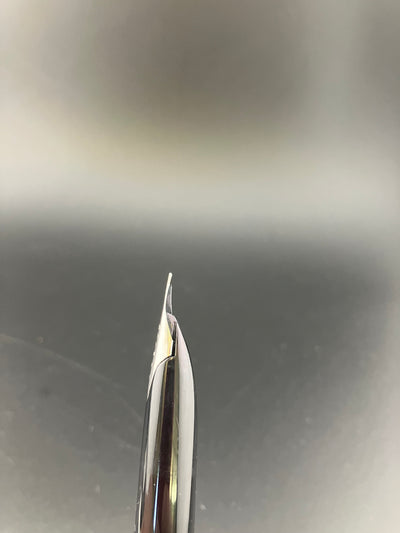 Pilot Custom Kyomon Heart Sutra Fountain Pen 18K WG Fine Nib