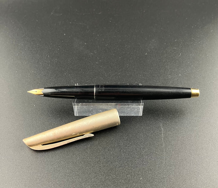 Platinum P66-100 Fountain Pen 14K Gold Fine Nib – G.C. Murphy