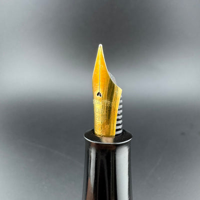 Ban-Ei 60th Anniversary L.E. Bamboo Fountain Pen 14K Gold G.K. Nib w/Box & Papers