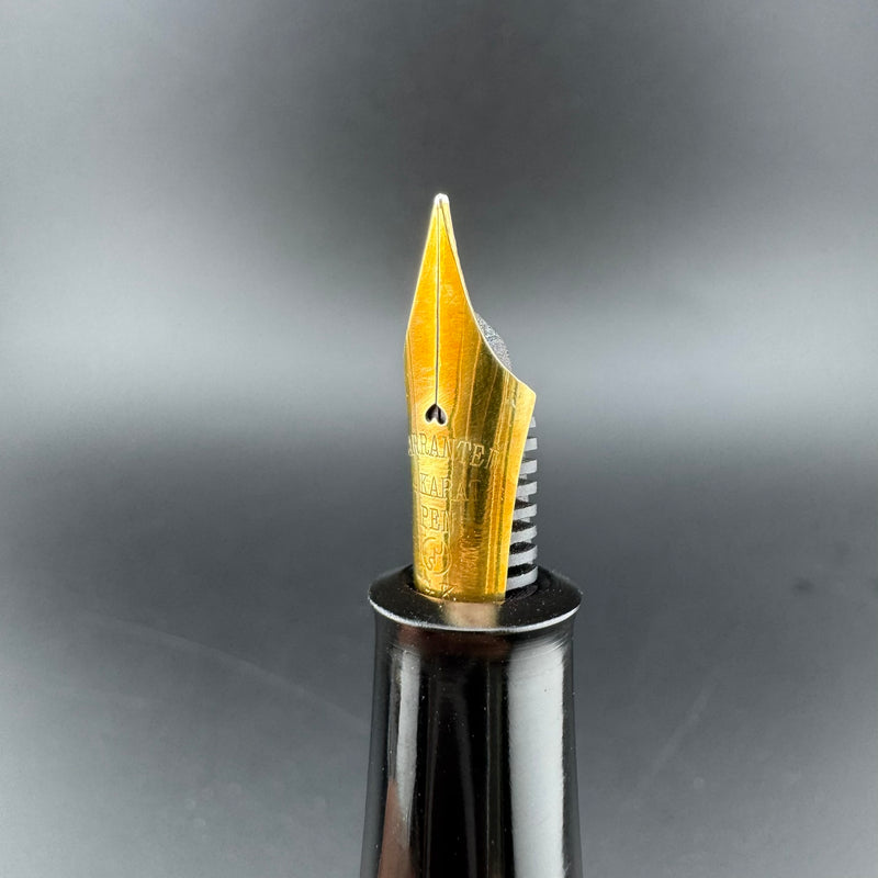 Ban-Ei 60th Anniversary L.E. Bamboo Fountain Pen 14K Gold G.K. Nib w/Box & Papers