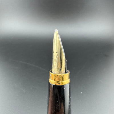Platinum Pocket Fountain Pen 14K Gold MUSIC Nib