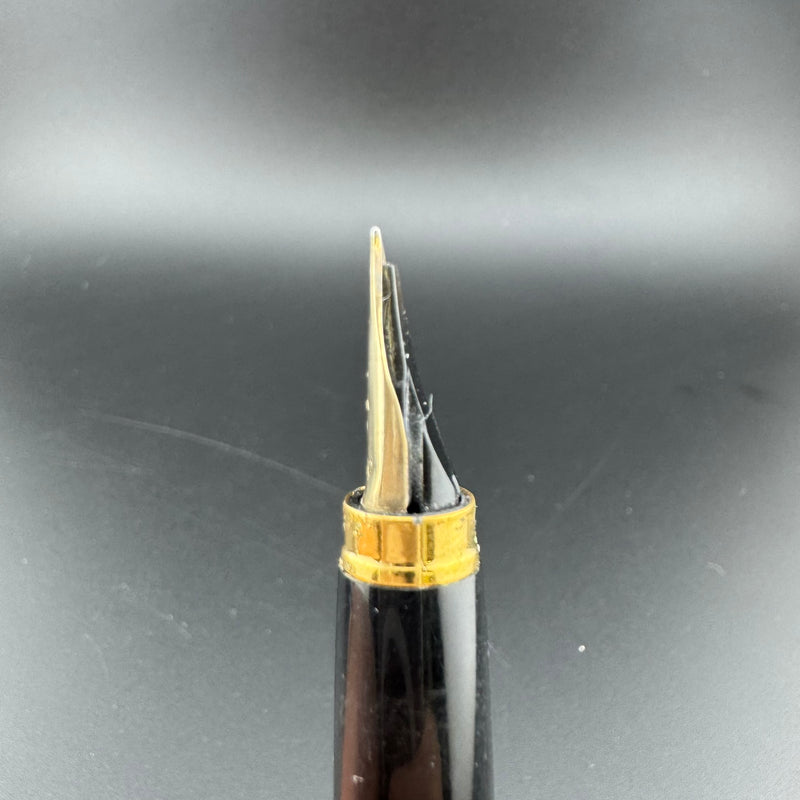 Platinum Pocket Fountain Pen 14K Gold MUSIC Nib
