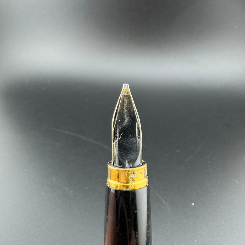 Platinum Pocket Fountain Pen 14K Gold MUSIC Nib