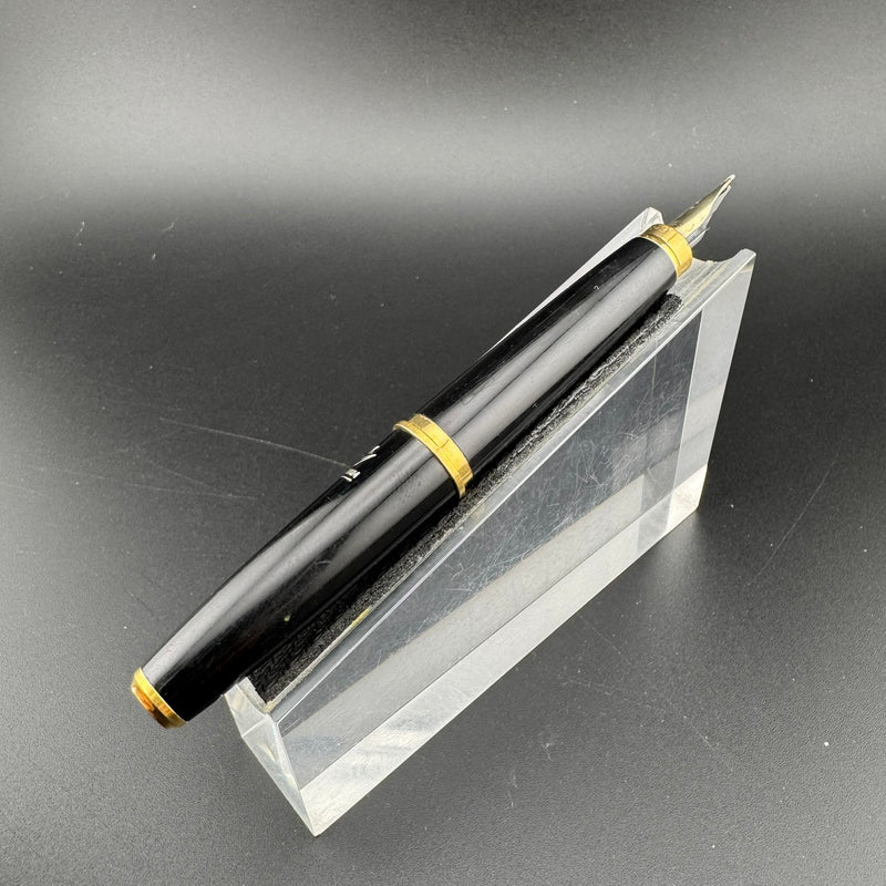 Platinum Pocket Fountain Pen 14K Gold MUSIC Nib