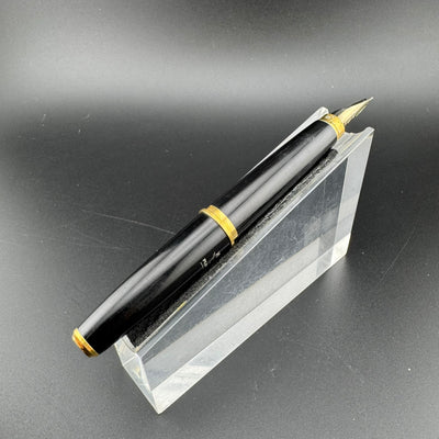 Platinum Pocket Fountain Pen 14K Gold MUSIC Nib