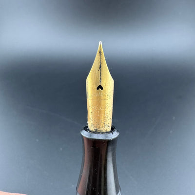 Webster's Ideal Celluloid Eyedropper Fountain Pen 14K Gold Extra-Fine Nib Unrestored