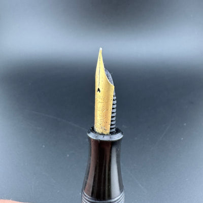 Webster's Ideal Celluloid Eyedropper Fountain Pen 14K Gold Extra-Fine Nib Unrestored