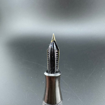Webster's Ideal Celluloid Eyedropper Fountain Pen 14K Gold Extra-Fine Nib Unrestored