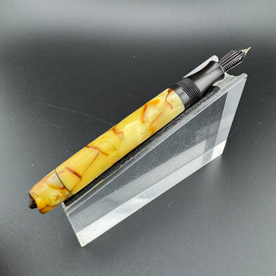 Webster's Ideal Celluloid Eyedropper Fountain Pen 14K Gold Extra-Fine Nib Unrestored