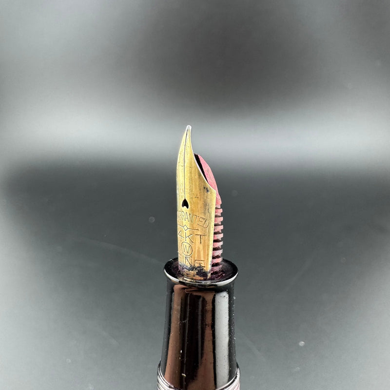 Atom Ebonite Japanese Eyedropper Fountain Pen 14K Gold Fine Nib Unrestored