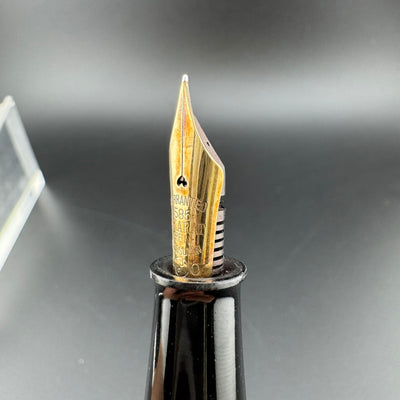 Warranted Ginjiro Kabutogi #40 Ebonite Fountain Pen 14K Gold Fine Nib