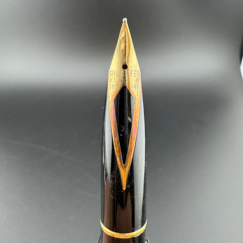 Sheaffer Targa Stainless Steel Fountain Pen 14K Gold Extra-Fine Nib