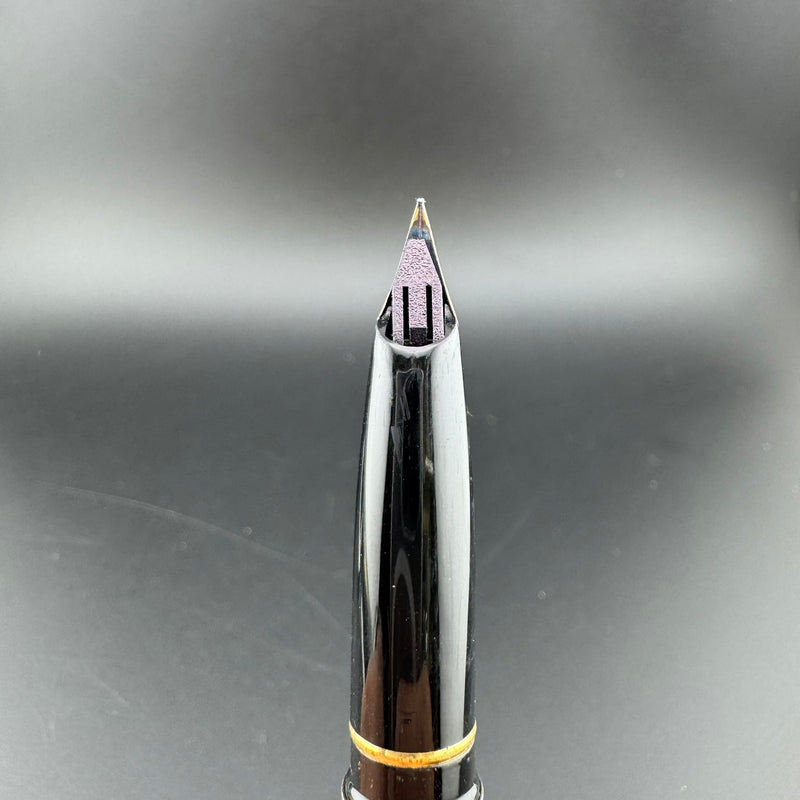 Sheaffer Targa Stainless Steel Fountain Pen 14K Gold Extra-Fine Nib