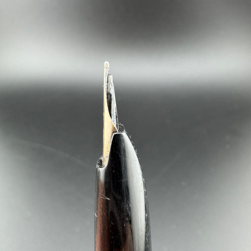 Platinum Pocket Fountain Pen 14K Gold Medium Nib