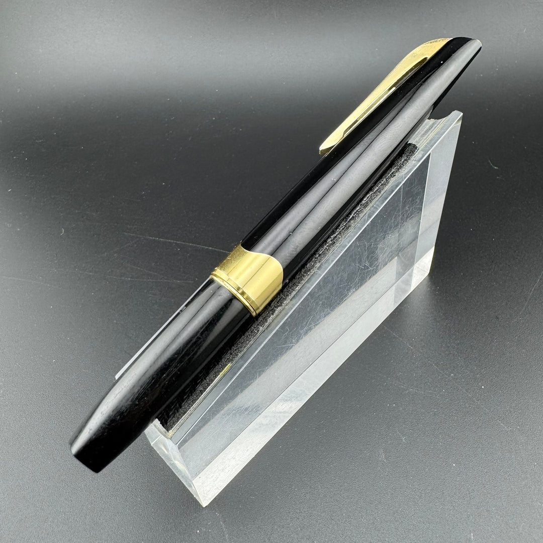 Platinum Pocket Fountain Pen 14K Gold Medium Nib – G.C. Murphy