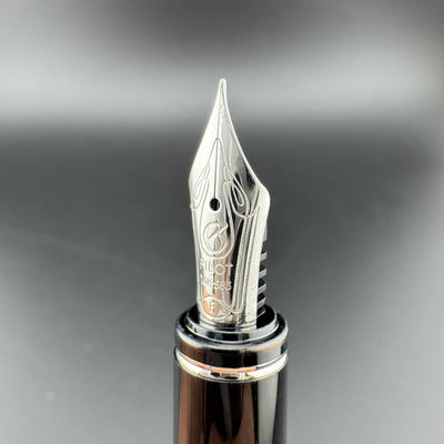 Pilot Grance Black Marble Fountain Pen 14K Gold Fine Nib