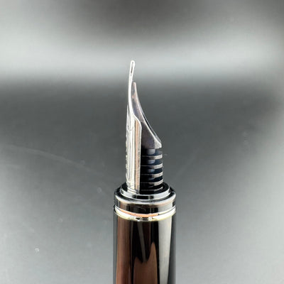 Pilot Grance Black Marble Fountain Pen 14K Gold Fine Nib