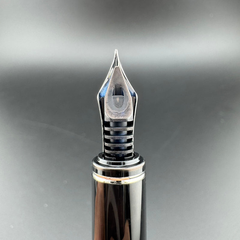 Pilot Grance Black Marble Fountain Pen 14K Gold Fine Nib