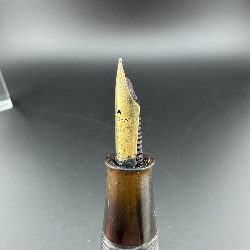 Steady Perfect Ebonite Lever-Filler Fountain Pen 14K Gold EF Nib Unrestored
