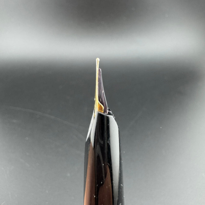 Pilot Super Quality Black Resin Fountain Pen Steel Fine Nib