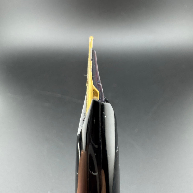 Pilot Super Quality Resin Fountain Pen Stainless Steel Fine Nib
