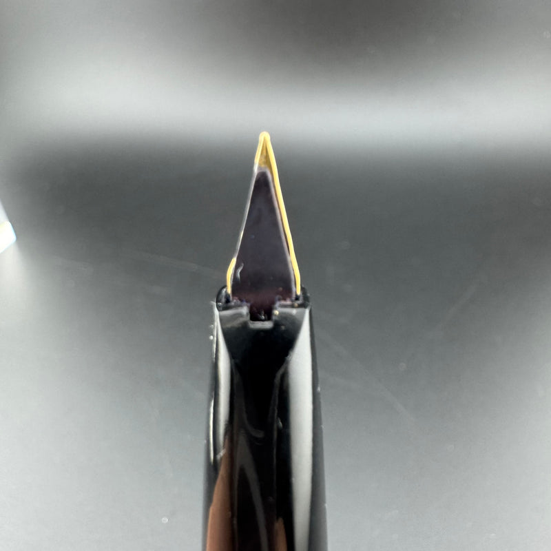 Pilot Super Quality Resin Fountain Pen Stainless Steel Fine Nib