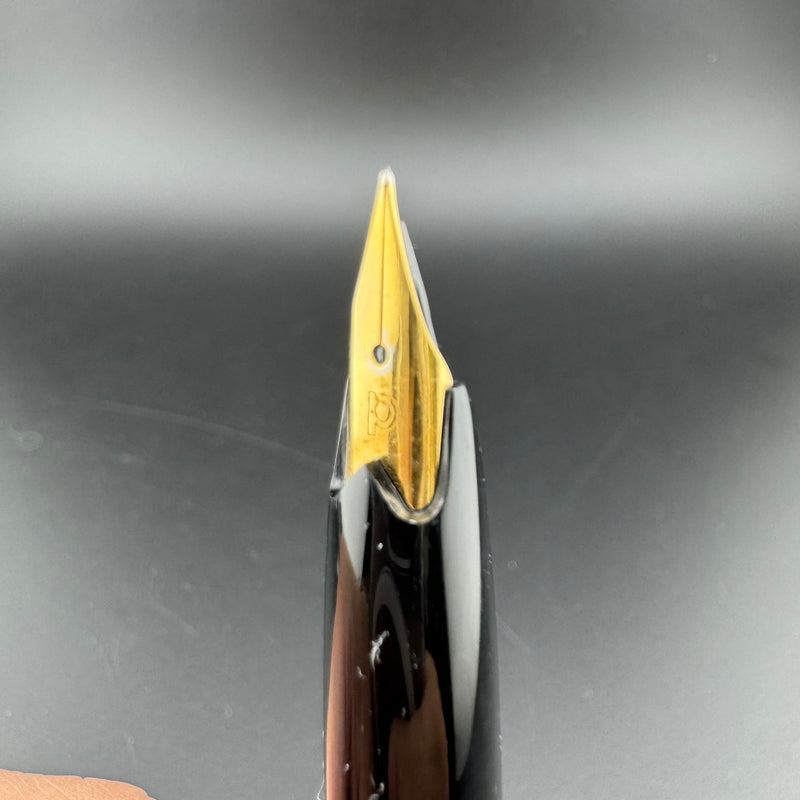 Platinum Black Resin Pocket Fountain Pen GP Steel Fine Nib