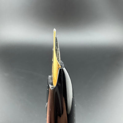 Platinum Black Resin Pocket Fountain Pen GP Steel Fine Nib