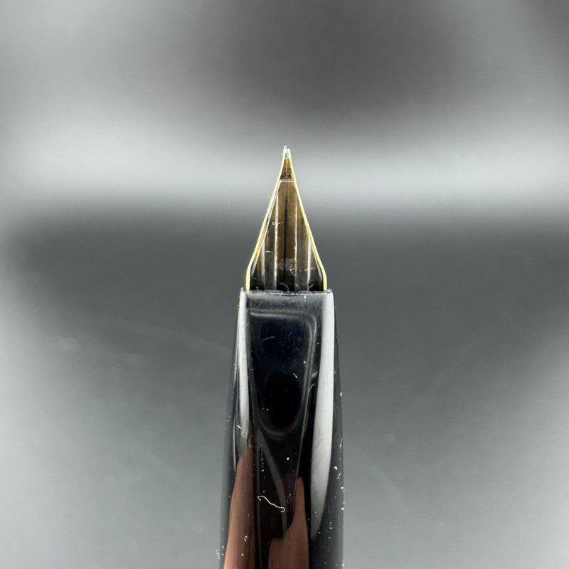Platinum Black Resin Pocket Fountain Pen GP Steel Fine Nib