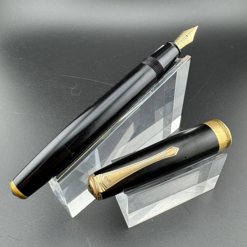 Willow Ebonite Eyedropper Fountain Pen 14K Gold G.K. 