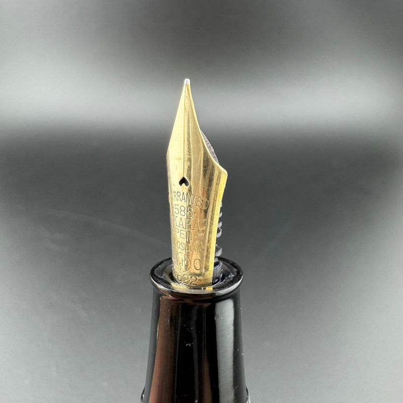 Willow Ebonite Eyedropper Fountain Pen 14K Gold G.K. 