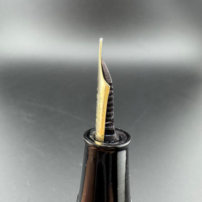 Willow Ebonite Eyedropper Fountain Pen 14K Gold G.K. #40 Extra-Fine Nib Serviced