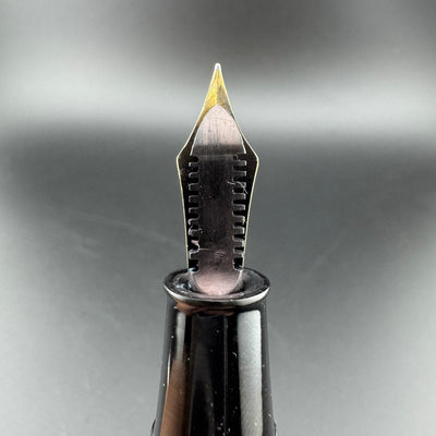 Willow Ebonite Eyedropper Fountain Pen 14K Gold G.K. #40 Extra-Fine Nib Serviced