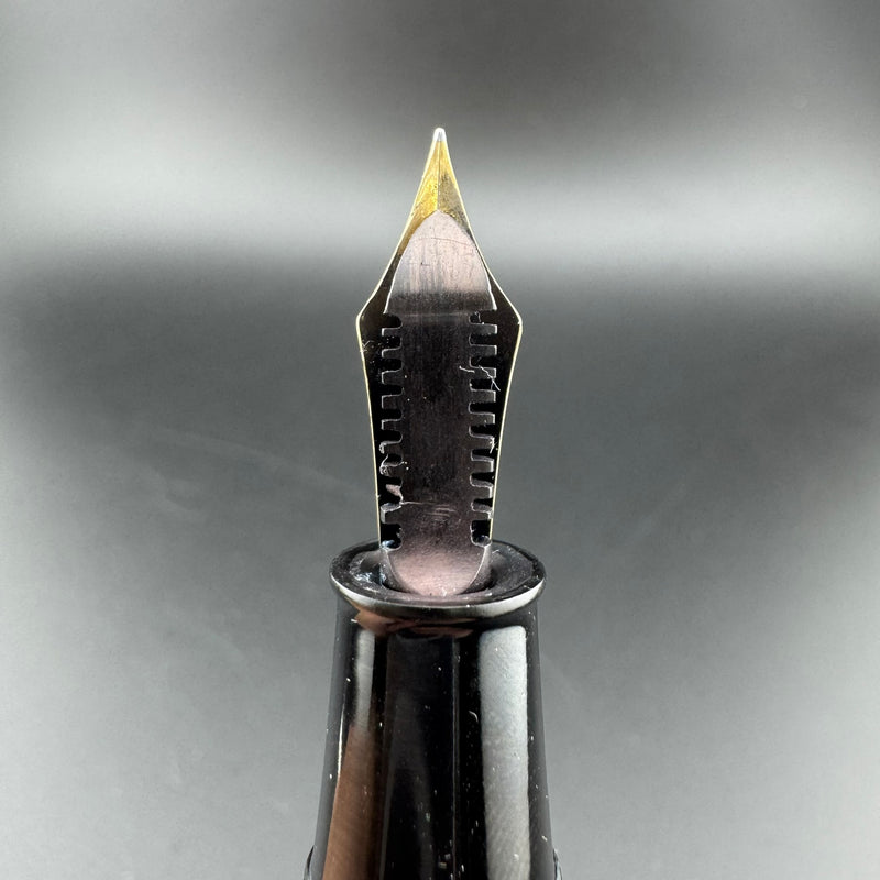 Willow Ebonite Eyedropper Fountain Pen 14K Gold G.K. 
