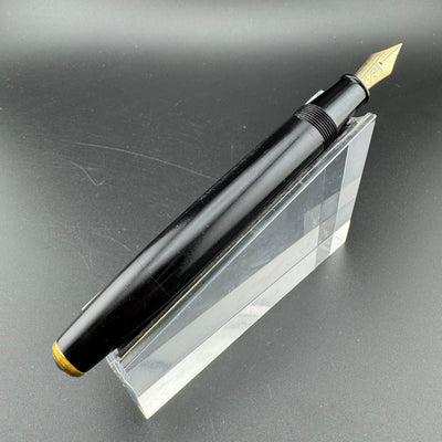 Willow Ebonite Eyedropper Fountain Pen 14K Gold G.K. #40 Extra-Fine Nib Serviced